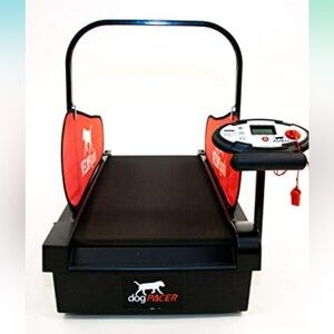 Brand new dog treadmill!